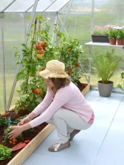 Canopia® By Palram Essence™ Greenhouse, 8' X 12' -Gardene Supply Sales 8591356 04V tif