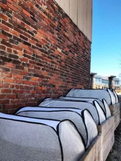 Row Shelter Accelerator 2 Row Shelter Accelerator -Gardene Supply Sales 8591990 01IN tif