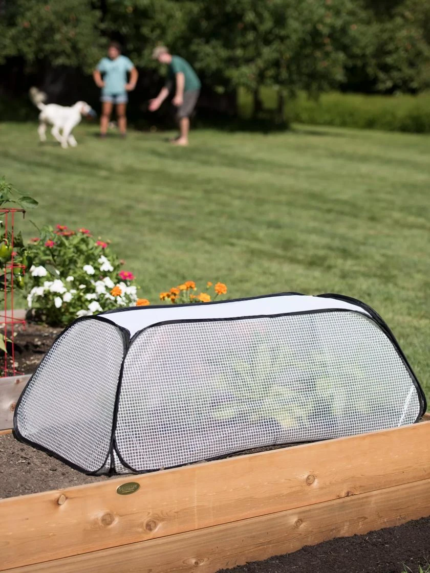 Row Shelter Accelerator Row Shelter Accelerator -Gardene Supply Sales 8591990 2182 tif