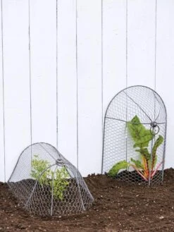 3-in-1 Chicken Wire Cloche -Gardene Supply Sales 8592117 0188 tif