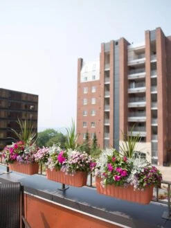 Adjustable Self-Watering Railing Planter, 24" -Gardene Supply Sales 8592173TC 2383 tif