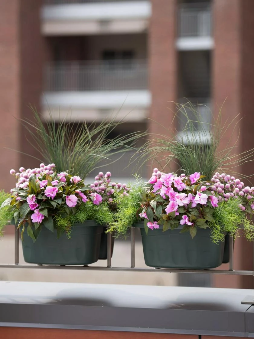 Self-Watering Saddle Railing Planter, 16" Self-Watering Saddle Railing Planter, 16" -Gardene Supply Sales 8592175GR 2430 tif