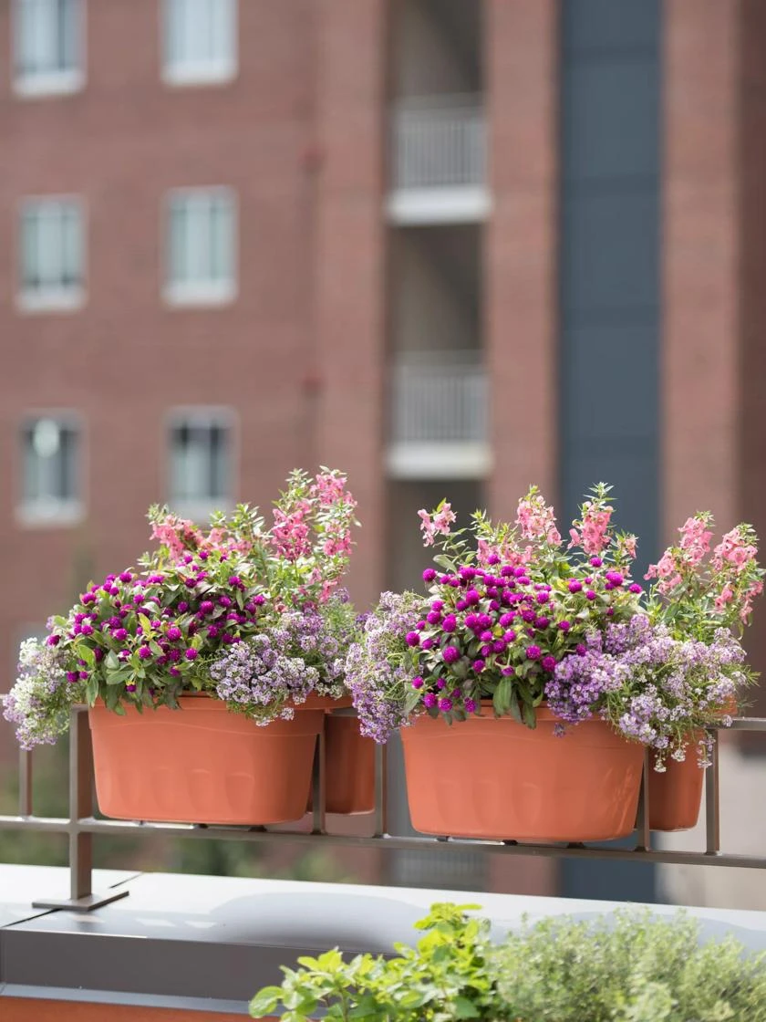 Self-Watering Saddle Railing Planter, 16" Self-Watering Saddle Railing Planter, 16" -Gardene Supply Sales 8592175TC 2421 tif