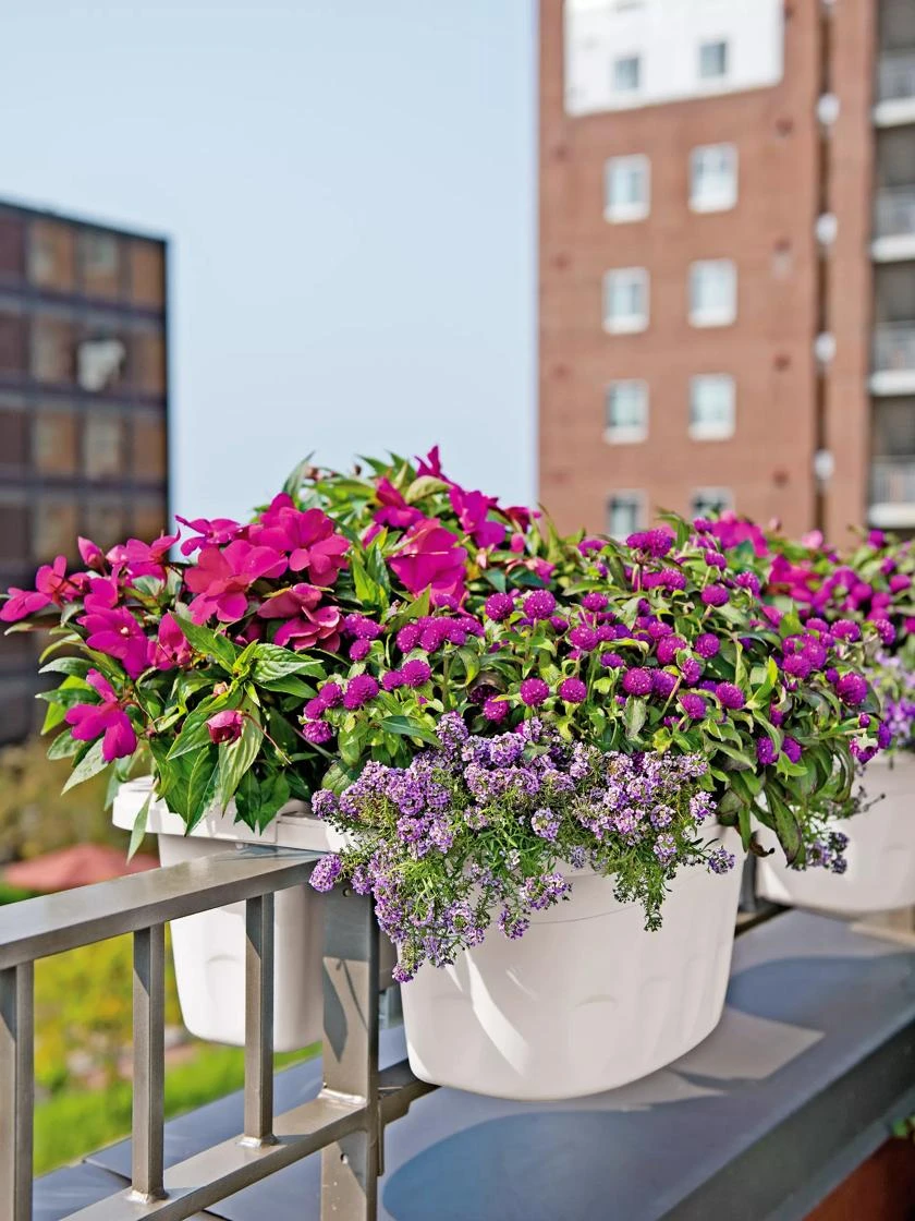 Self-Watering Saddle Railing Planter, 16" Self-Watering Saddle Railing Planter, 16" -Gardene Supply Sales 8592175 2355 tif