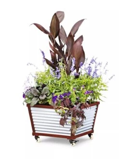 Galvanized Self-Watering Planters -Gardene Supply Sales 8592176 5067 tif