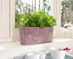 Lechuza® Delta Self-Watering Windowsill Planters -Gardene Supply Sales 8592361 01V tif