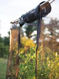 Storm Proof Crop Cage, Large -Gardene Supply Sales 8592463 115 tif