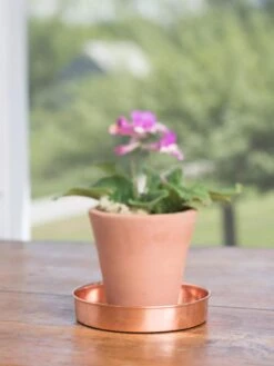Extra Small Round Copper Plant Tray, 8" -Gardene Supply Sales 8593528 4522 tif