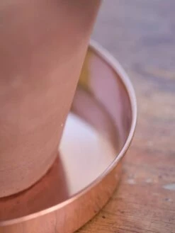 Extra Small Round Copper Plant Tray, 8" -Gardene Supply Sales 8593528 4529 tif