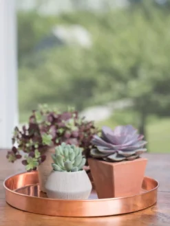 Large Round Copper Plant Tray, 14" -Gardene Supply Sales 8593531 4518 tif