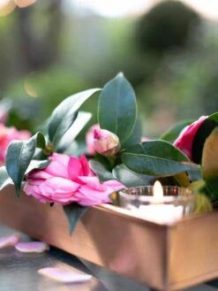 Rectangular Copper Plant Tray, 18"x4" -Gardene Supply Sales 8593532 02IN tif