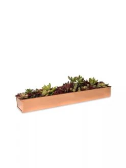 Rectangular Copper Plant Tray, 18"x4" -Gardene Supply Sales 8593532 2892 tif