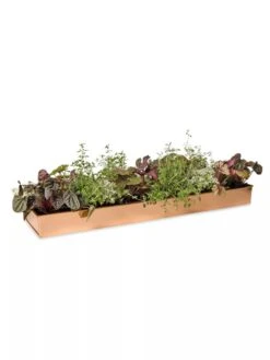 Rectangular Copper Plant Tray, 24" X 5" -Gardene Supply Sales 8593533 2878 tif