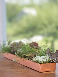 Rectangular Copper Plant Tray, 24" X 5" -Gardene Supply Sales 8593533 4626 tif