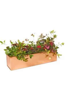 Tall Rectangular Copper Plant Tray, 18" X 5" X 4" -Gardene Supply Sales 8593534 2899 tif