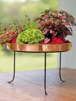 Large Round Copper Plant Tray, 14" -Gardene Supply Sales 8593567 4636 tif
