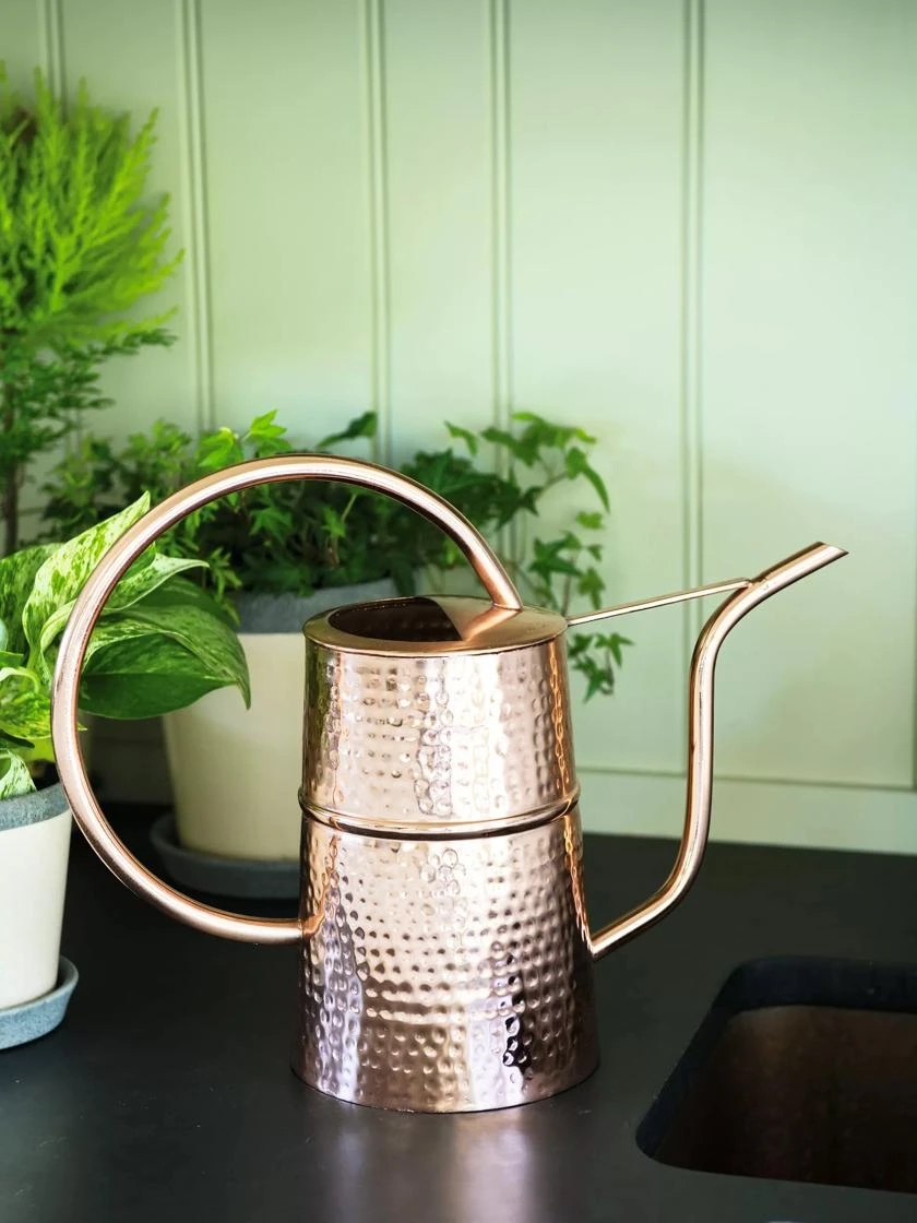 Copper Indoor Watering Can Copper Indoor Watering Can -Gardene Supply Sales 8593724 5369 tif