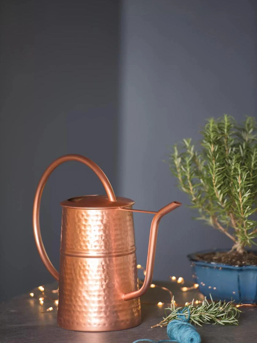 Copper Indoor Watering Can Copper Indoor Watering Can -Gardene Supply Sales 8593724 5715 tif