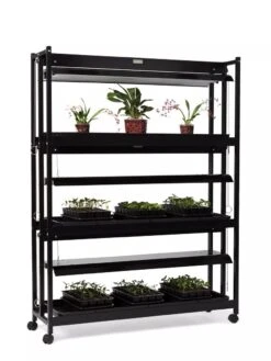 High Intensity 3-Tier SunLite® Garden -Gardene Supply Sales 8593944 1608 tif