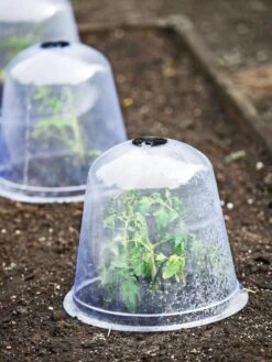Large Garden Cloches, Set Of 3 -Gardene Supply Sales 8593984 9432 tif