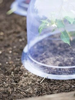 Medium Garden Cloches, Set Of 6 -Gardene Supply Sales 8593985 9441 tif