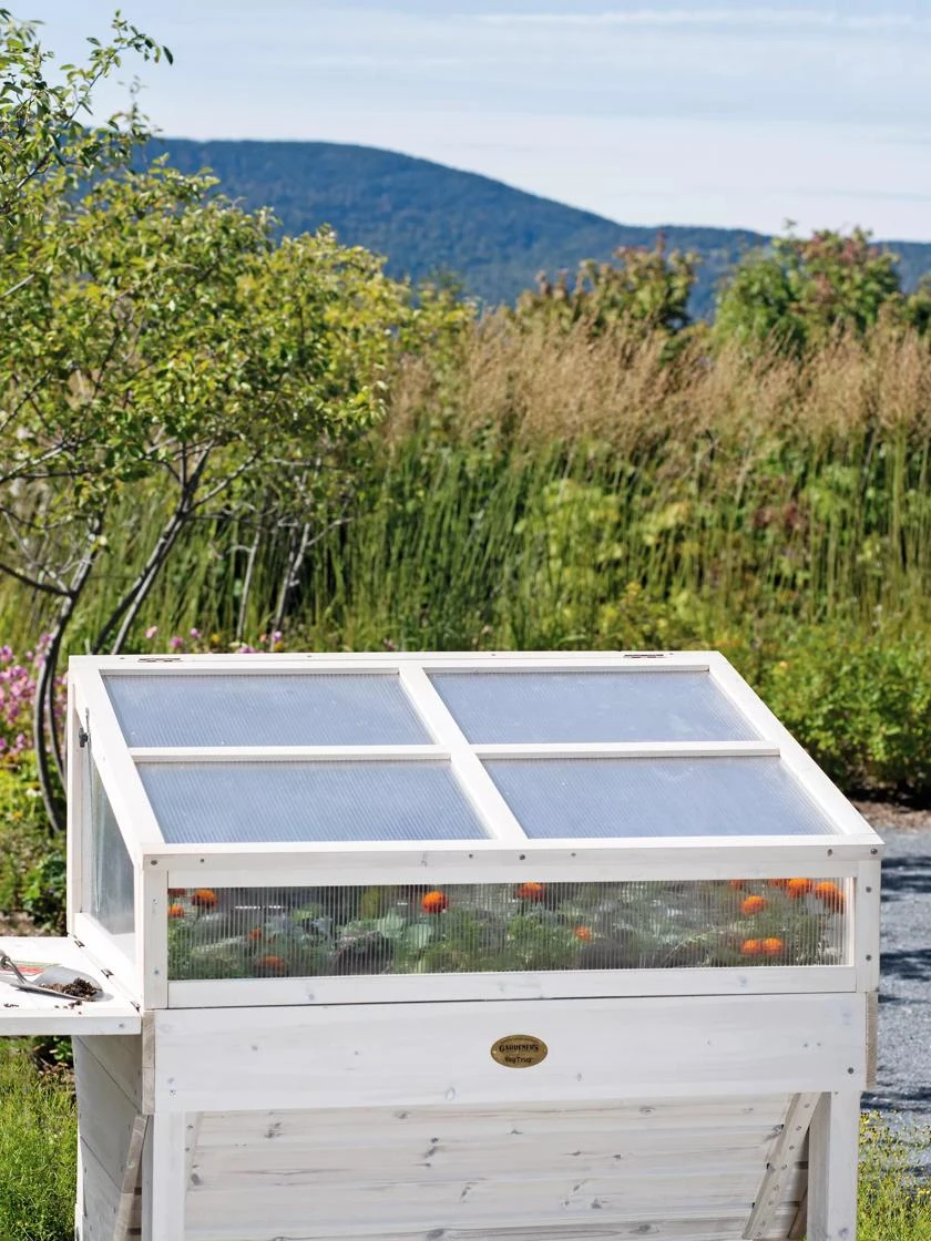 Cold Frame for Compact VegTrug® Cold Frame For Compact VegTrug® -Gardene Supply Sales 8594059 1038 tif
