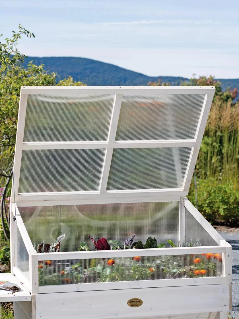 Cold Frame for Compact VegTrug® Cold Frame For Compact VegTrug® -Gardene Supply Sales 8594059 1039 tif