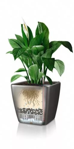 Lechuza® Quadro LS Premium Self-Watering Square Planters -Gardene Supply Sales 8594096 05V tif