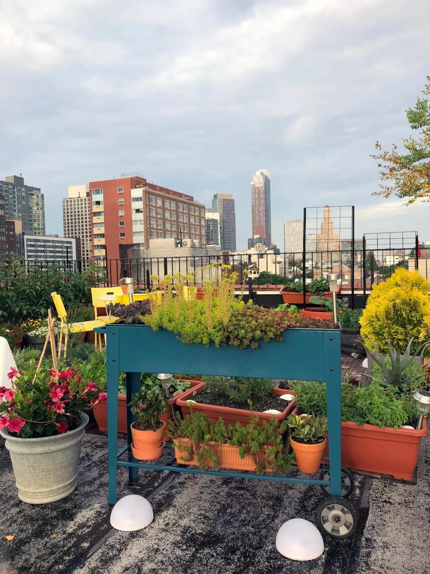 Demeter Mobile Planter Cart Demeter Mobile Planter Cart -Gardene Supply Sales 8594148 01CUST tif