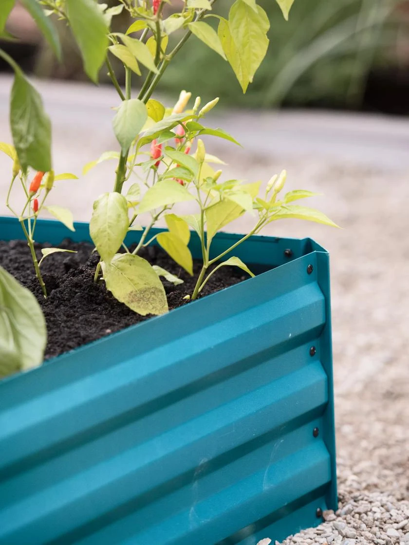 Demeter Corrugated Metal Raised Bed, 34" x 34" Demeter Corrugated Metal Raised Bed, 34" X 34" -Gardene Supply Sales 8594183 470 tif