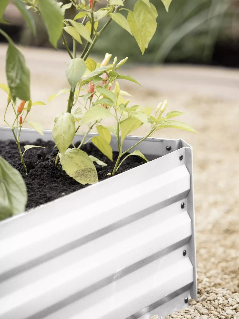 Demeter Corrugated Metal Raised Bed, 34" x 68" Demeter Corrugated Metal Raised Bed, 34" X 68" -Gardene Supply Sales 8594183 570 tif 1