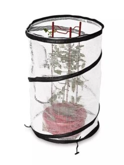 Tomato TLC Kits, Set Of 3 -Gardene Supply Sales 8594214 9380 tif