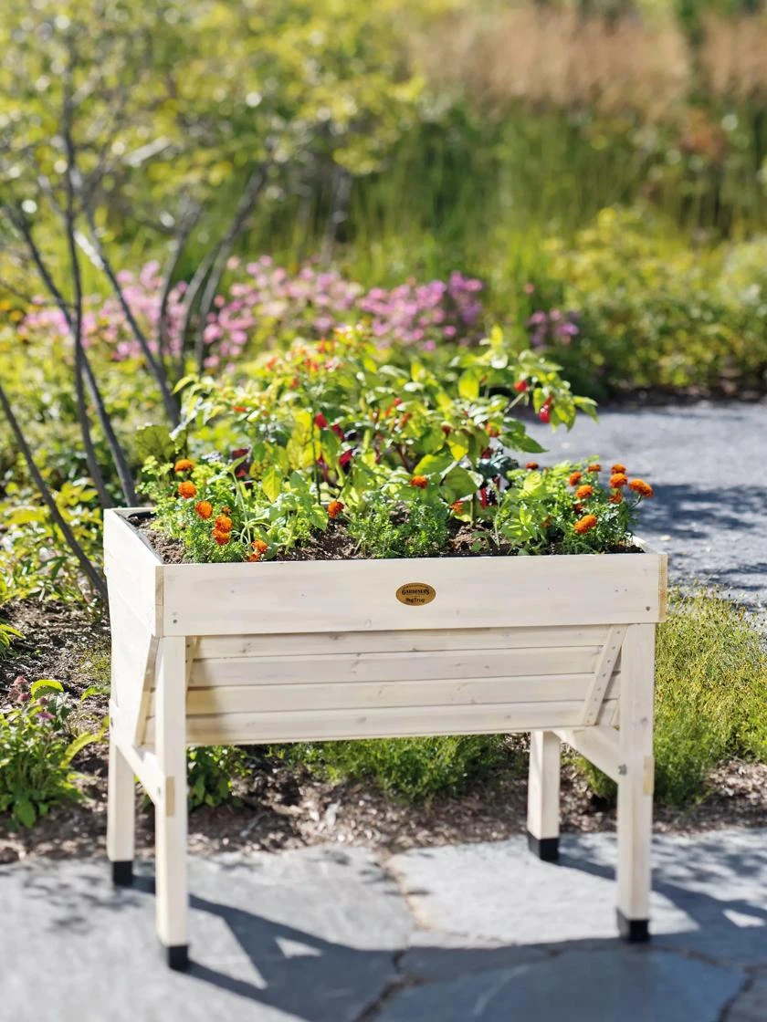 Compact VegTrug® Patio Garden Compact VegTrug® Patio Garden -Gardene Supply Sales 8594232 1196 tif