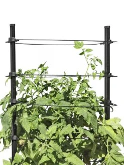 Gardener's Revolution® Classic Tomato Extension