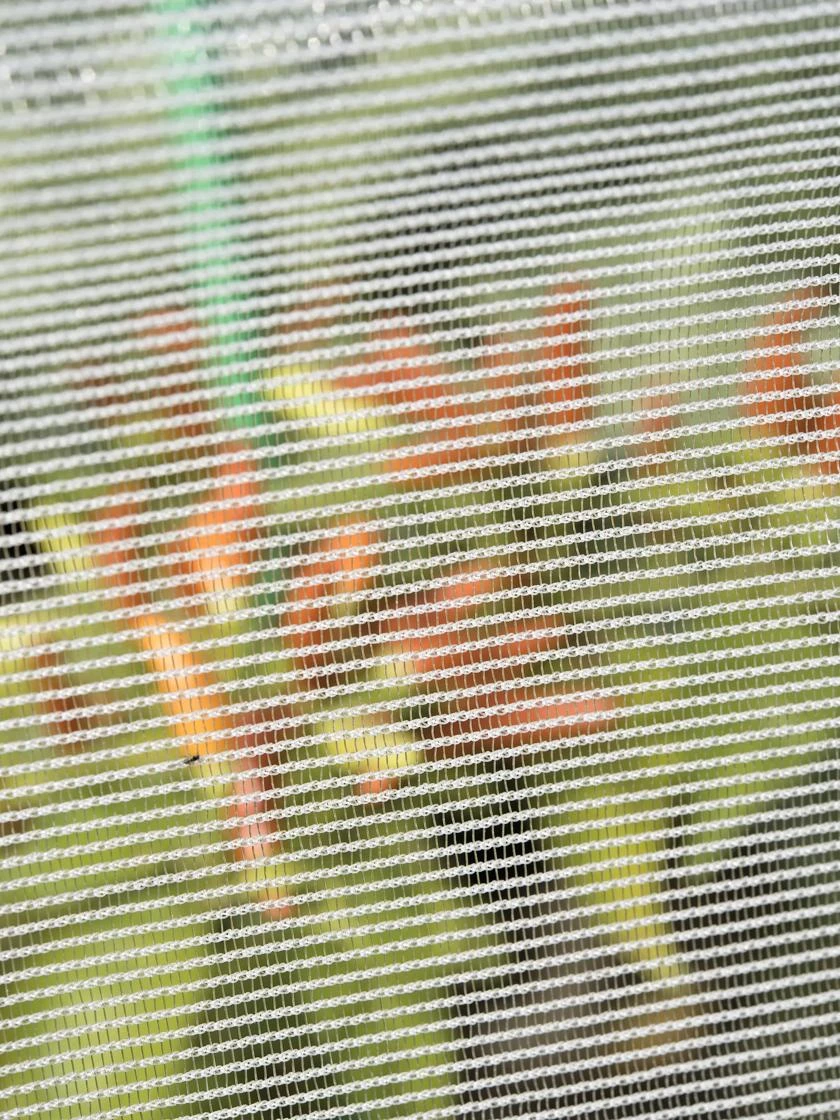 Bug Out Garden Insect Screen, 6-1/2' x 20' Bug Out Garden Insect Screen, 6-1/2' X 20' -Gardene Supply Sales 8594430 0271 tif