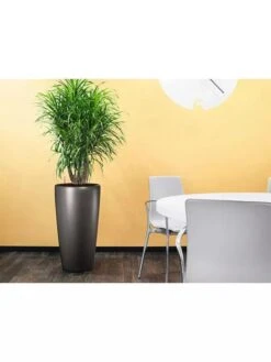 Lechuza® Rondo Self-Watering Planters -Gardene Supply Sales 8594586 02V tif