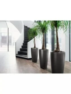 Lechuza® Rondo Self-Watering Planters -Gardene Supply Sales 8594586 03V tif