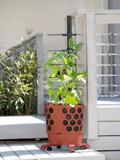 Gardener's Revolution® Tomato Planter -Gardene Supply Sales 8594743 2618 tif