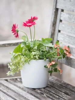 Viva Round Self-Watering Planter, 7" Diameter -Gardene Supply Sales 8595222 1139 tif