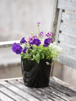 Viva Round Self-Watering Planter, 7" Diameter -Gardene Supply Sales 8595222 1140 tif