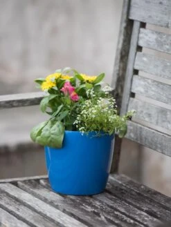 Viva Round Self-Watering Planter, 7" Diameter -Gardene Supply Sales 8595222 1143 tif