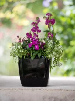 Viva Square Self-Watering Planter, 7" Diameter -Gardene Supply Sales 8595223 1107 tif