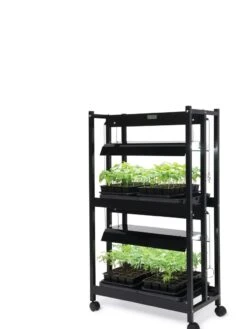 LED SunLite® Compact 2-Tier Garden 3 LED SunLite® Compact 2-Tier Garden -Gardene Supply Sales 8595556 10132 tif