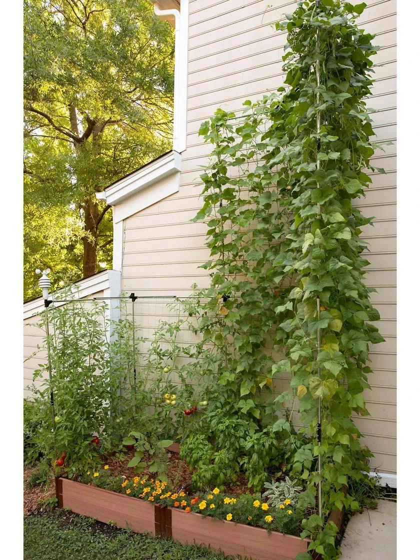 Stack & Extend Veggie Wall Stack & Extend Veggie Wall -Gardene Supply Sales 8595683 07V 3 4