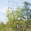 Mammoth Tomato Towers, Set Of 2