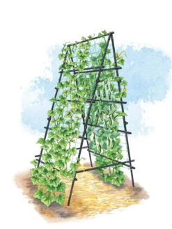Titan A-Frame Trellis -Gardene Supply Sales 8595755 TitanAFrame art tif