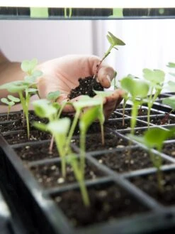 LED Stack-n-Grow Lights - Base Unit -Gardene Supply Sales 8595770 7373 tif