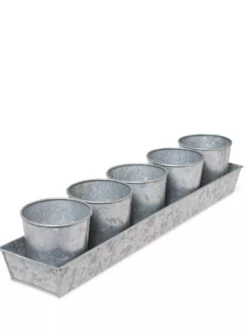 Galvanized Herb Planters With Rectangular Tray -Gardene Supply Sales 8595903 3924 tif