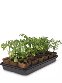3-1/2” Square Biodegradable Pots & Tray Set -Gardene Supply Sales 8595968 3916 tif