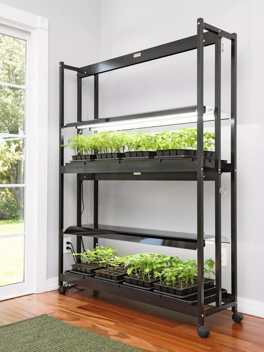 LED SunLite® High Intensity 2-Tier Garden LED SunLite® High Intensity 2-Tier Garden -Gardene Supply Sales 8596023 3129 tif